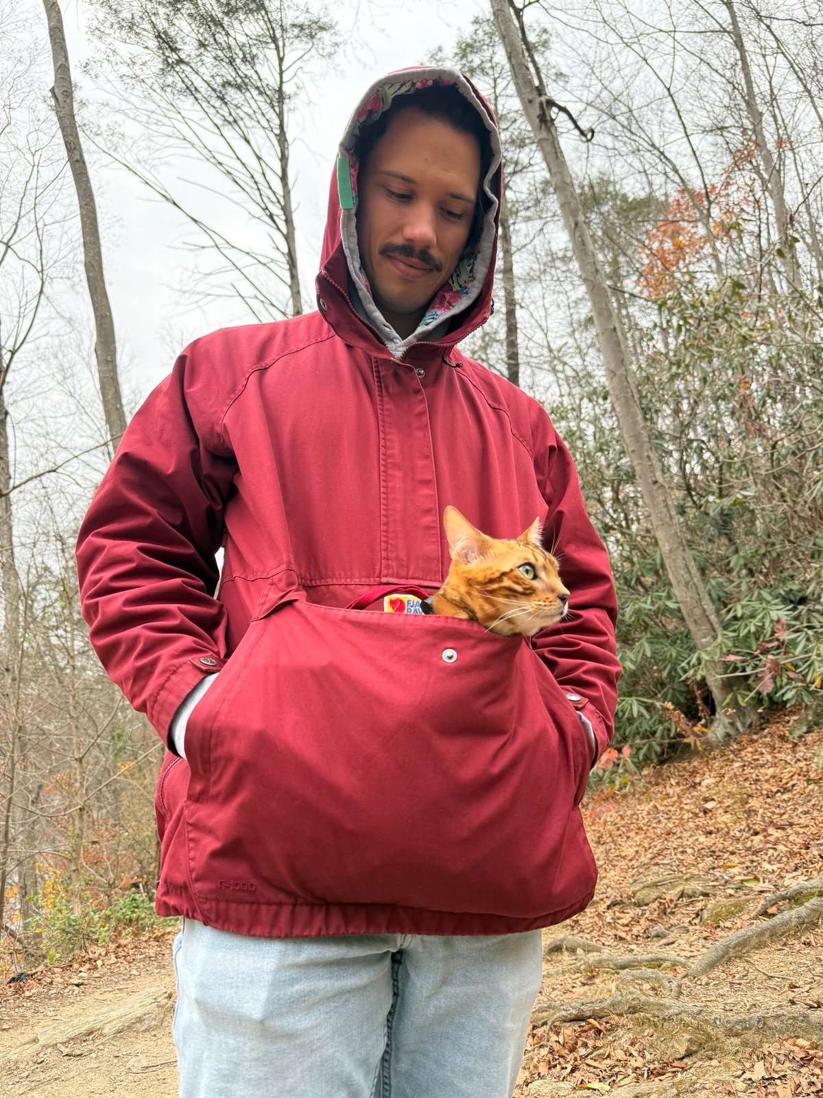 Hiking with the cat